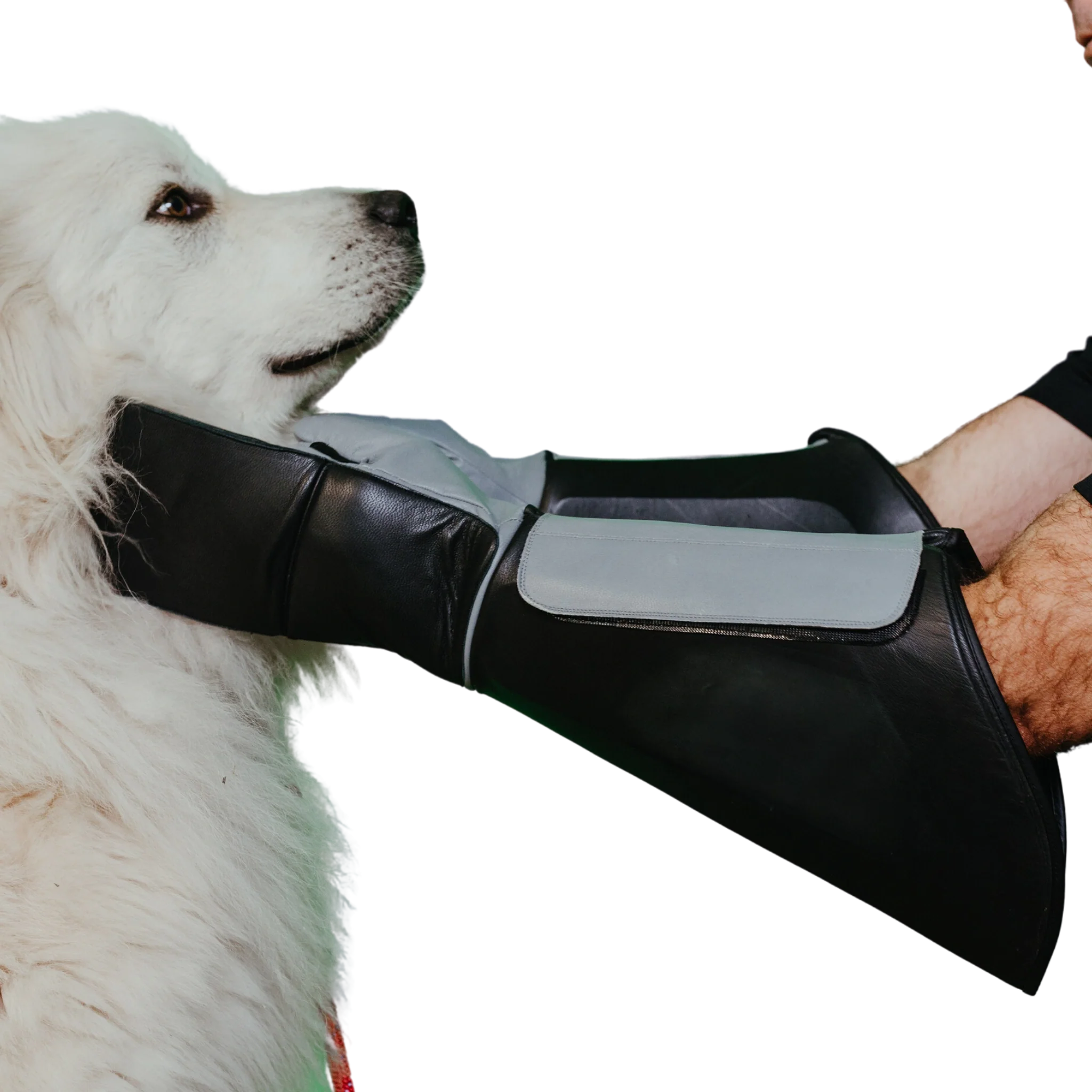 Praetorian Pro Dog Handling Glove